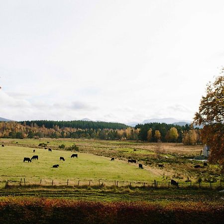 The Dell Of Abernethy - A Woodland Hideaway Lejlighed Nethy Bridge Eksteriør billede