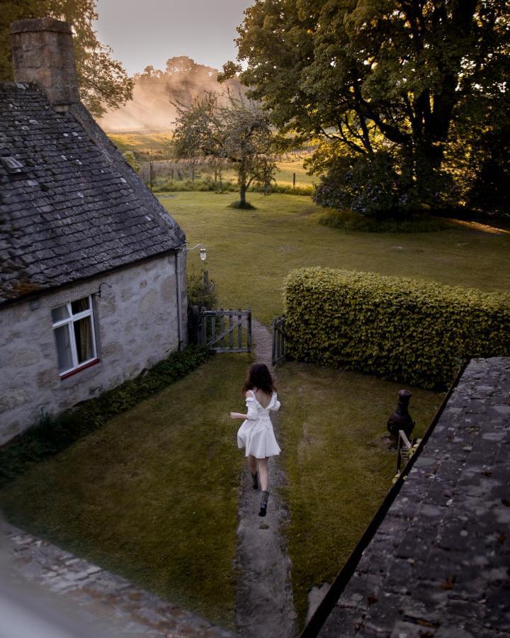 The Dell Of Abernethy - A Woodland Hideaway Lejlighed Nethy Bridge Eksteriør billede